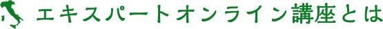 エキスパートオンライン講座とは