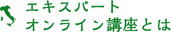 エキスパートオンライン講座とは